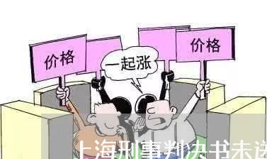 上海刑事判决书未送辩护律师/2023032913036