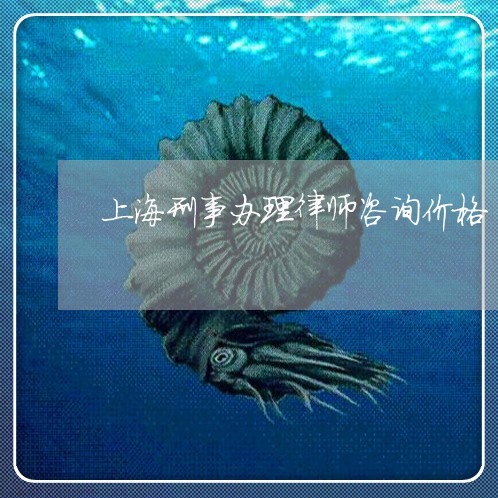 上海刑事办理律师咨询价格/2023032861925