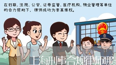 上海刑事合规律师哪家正规/2023032806250