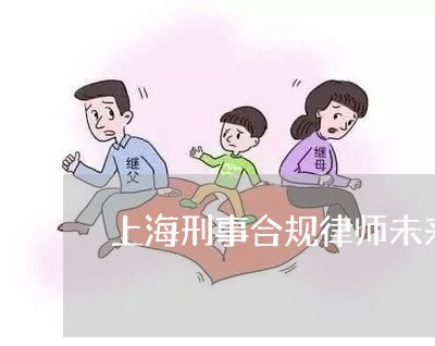上海刑事合规律师未来规划/2023031660692 上海刑事合规律师未来规划/2023031660692