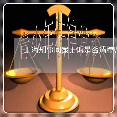 上海刑事同案上诉是否请律师/2023033063703 上海刑事同案上诉是否请律师/2023033063703
