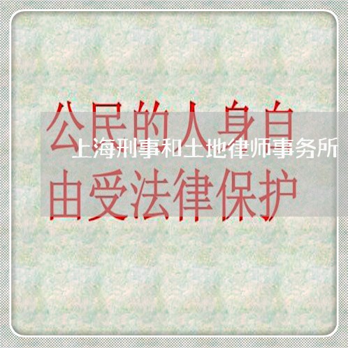 上海刑事和土地律师事务所/2023031696937 上海刑事和土地律师事务所/2023031696937