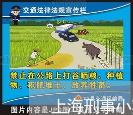 上海刑事小案件请律师多少钱/2023033059493 上海刑事小案件请律师多少钱/2023033059493