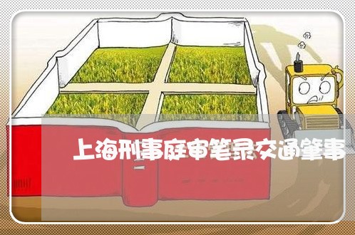 上海刑事庭审笔录交通肇事/2023031640368 上海刑事庭审笔录交通肇事/2023031640368