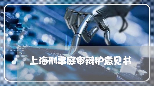 上海刑事庭审辩护意见书/2023022763816