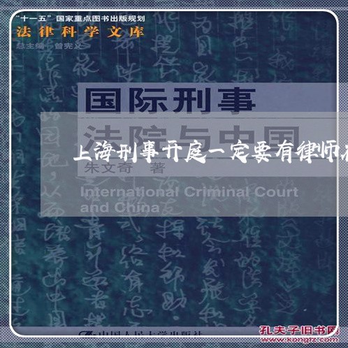 上海刑事开庭一定要有律师在/2023033031693