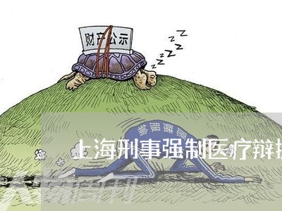 上海刑事强制医疗辩护意见/2023031604827 上海刑事强制医疗辩护意见/2023031604827