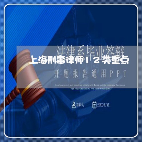 上海刑事律师12类重点/2023022739471