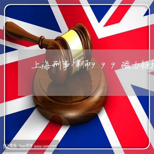 上海刑事律师999磁力链接/2023033069392 上海刑事律师999磁力链接/2023033069392