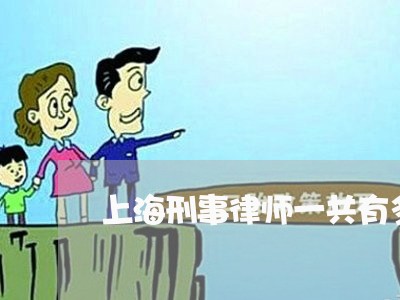 上海刑事律师一共有多少/2023022759271 上海刑事律师一共有多少/2023022759271