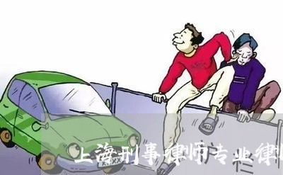 上海刑事律师专业律师事务所/2023033018271