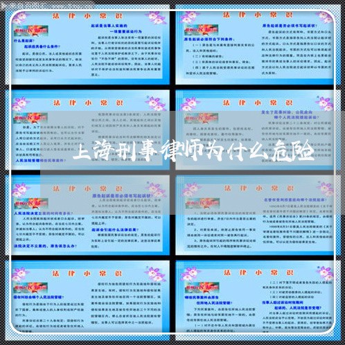 上海刑事律师为什么危险/2023022772704