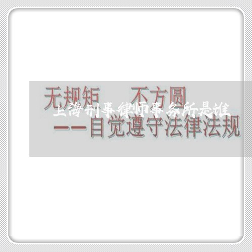 上海刑事律师事务所是谁/2023022736150