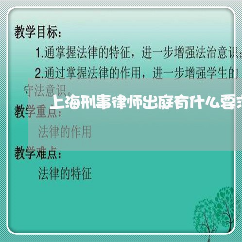 上海刑事律师出庭有什么要求/2023033084726