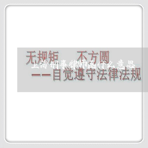 上海刑事律师函什么意思/2023022628272