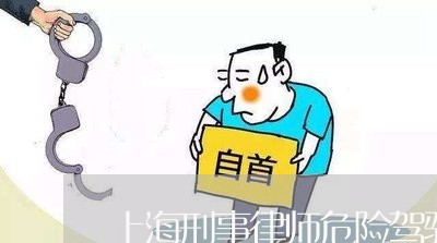 上海刑事律师危险驾驶罪/2023022605714