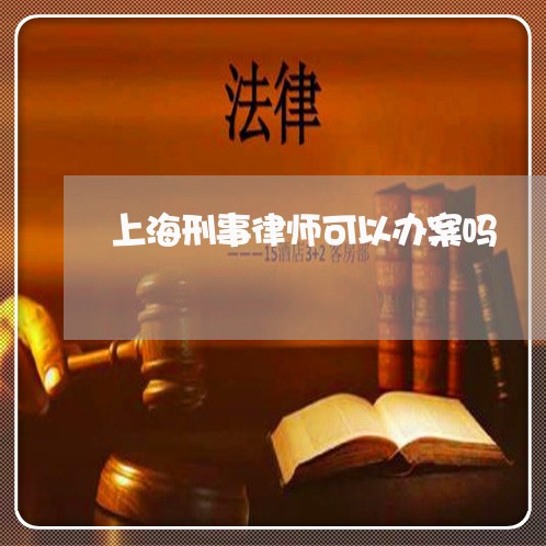 上海刑事律师可以办案吗/2023022614340 上海刑事律师可以办案吗/2023022614340