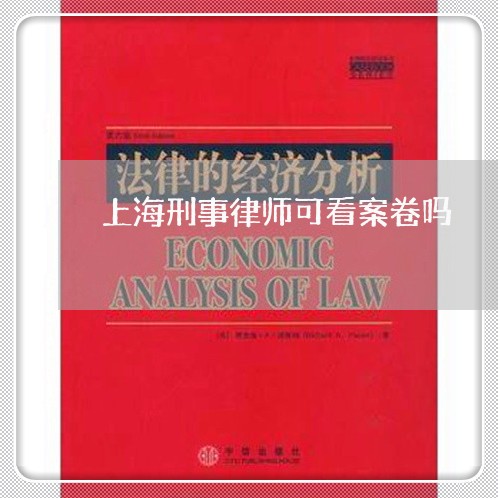 上海刑事律师可看案卷吗/2023022631362