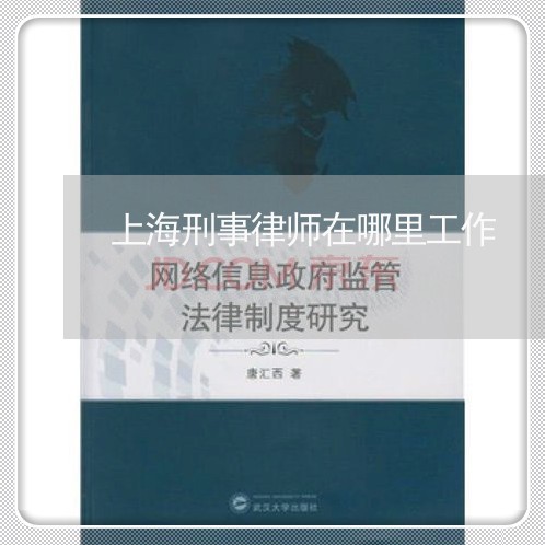 上海刑事律师在哪里工作/2023022625040