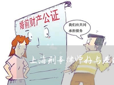 上海刑事律师好与差的区别/2023032951705