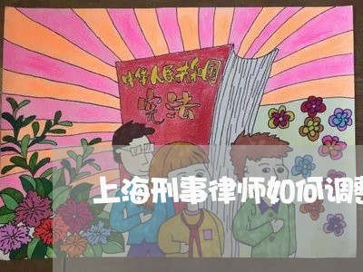 上海刑事律师如何调整案情/2023031661716 上海刑事律师如何调整案情/2023031661716