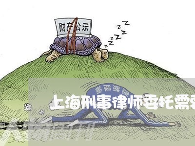 上海刑事律师委托需要什么/2023031627269