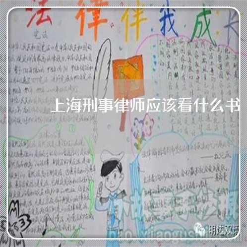 上海刑事律师应该看什么书/2023032950492