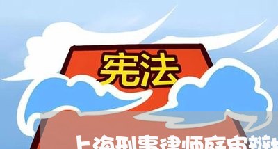 上海刑事律师庭审辩护笔录/2023032942735