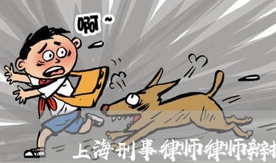 上海刑事律师律师辩护意见/2023031637058 上海刑事律师律师辩护意见/2023031637058