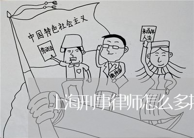 上海刑事律师怎么多接案子/2023031624718 上海刑事律师怎么多接案子/2023031624718