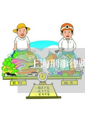 上海刑事律师怎么找