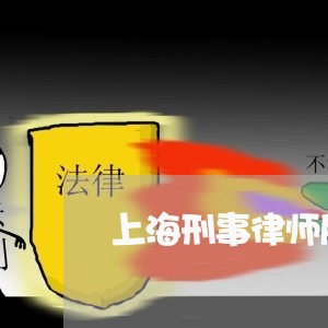 上海刑事律师所起的作用/2023022728470