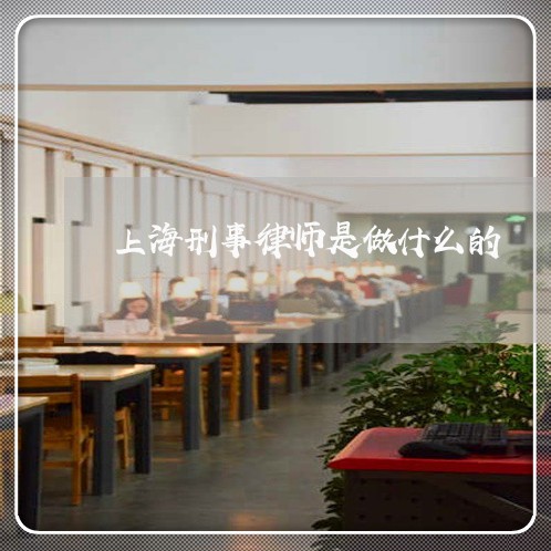上海刑事律师是做什么的/2023022784130 上海刑事律师是做什么的/2023022784130