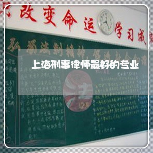 上海刑事律师最好的专业/2023022727046
