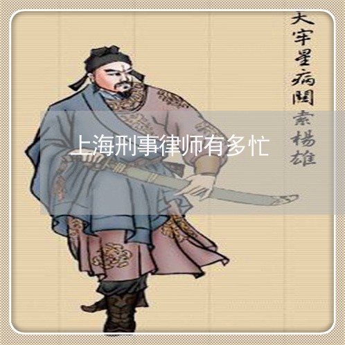 上海刑事律师有多忙/2023032861592