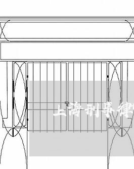 上海刑事律师没有起到作用/2023032906048