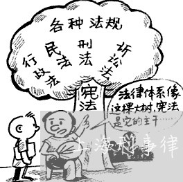 上海刑事律师的作用有哪些/2023032919619