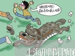 上海刑事律师的律师助理/2023022730492