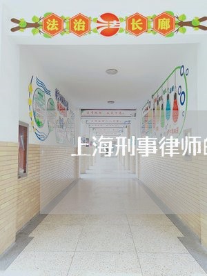 上海刑事律师的职责是什么/2023032994259