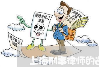 上海刑事律师的逆袭之道/2023022761703