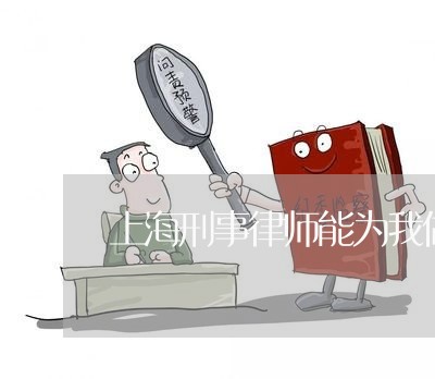 上海刑事律师能为我做什么/2023032908461