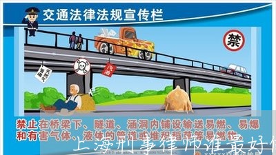 上海刑事律师谁最好做/2023042460673