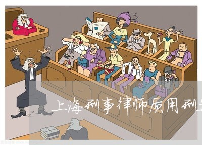 上海刑事律师质用刑案无忧/2023032970582