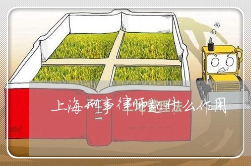上海刑事律师起什么作用/2023022772593 上海刑事律师起什么作用/2023022772593
