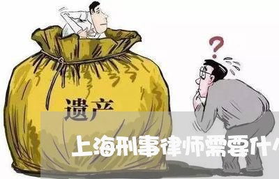 上海刑事律师需要什么手续/2023031606138