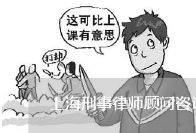 上海刑事律师顾问咨询排名/2023032960493