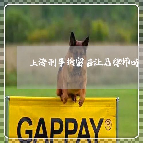 上海刑事拘留后让见律师吗/2023031620482 上海刑事拘留后让见律师吗/2023031620482