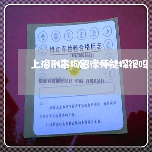 上海刑事拘留律师能探视吗/2023031614939