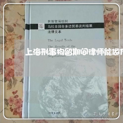 上海刑事拘留期间律师能做什么/2023060362403