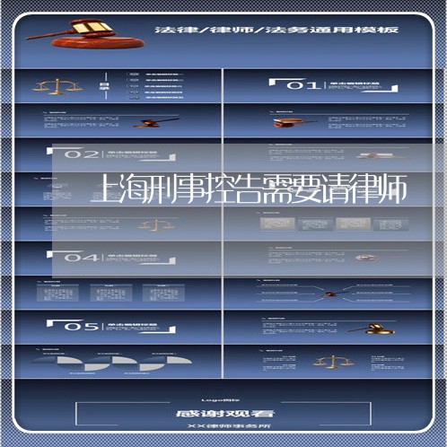 上海刑事控告需要请律师/2023022716156 上海刑事控告需要请律师/2023022716156